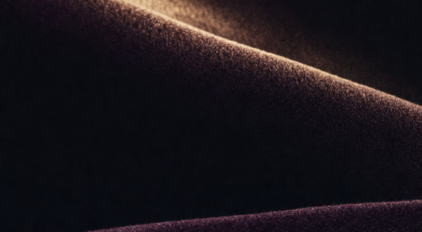 Deep plum velvet folds lit by a single line of warm gold light.